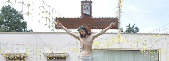 Slideshow Image 3
