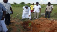 Planting Trees at Viruduvilanginan School - Aug-2015