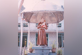 Viruduvilanginan1